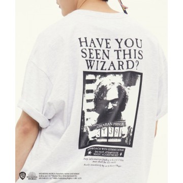 韓國Romantic Crown - [HP X RMTC] SIRIUS BLACK T-SHIRTS_LIGHT GREY